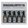 Olio Viso Magnoliophytha 8436592580354 (50 ml)